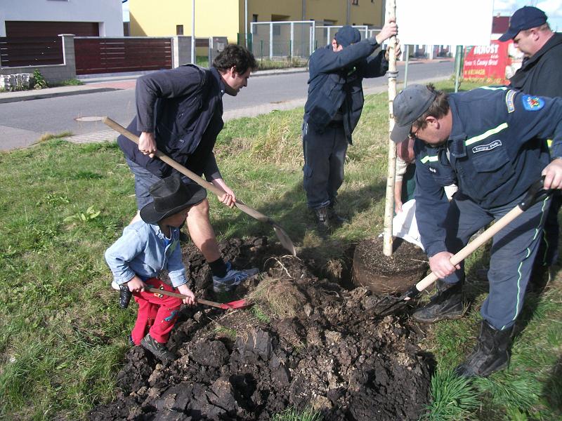 foto 055.jpg - Szen stromk Na Kamenn Hrzi